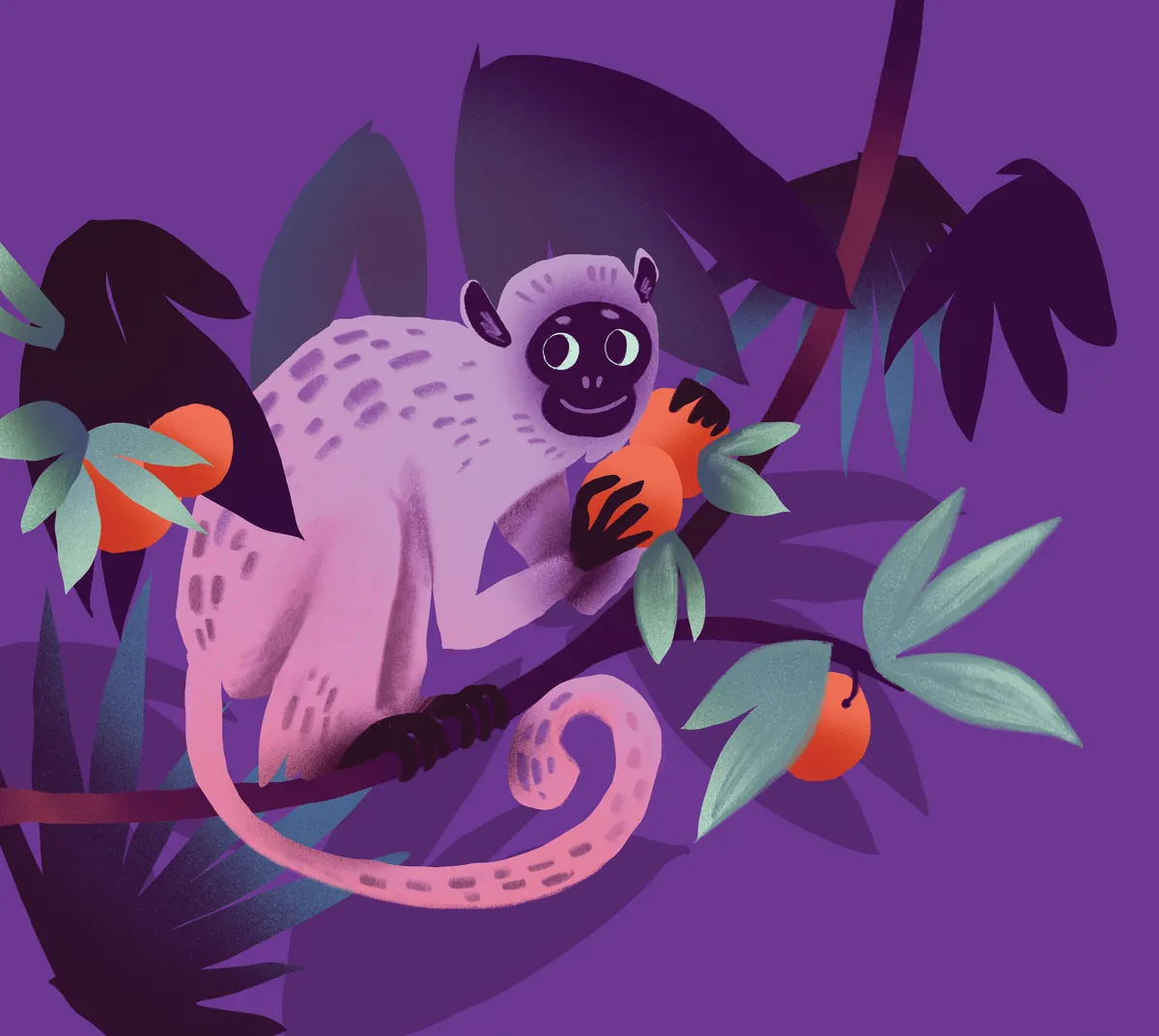The Monkey, illustration from Night at the Zoo: Latecomers