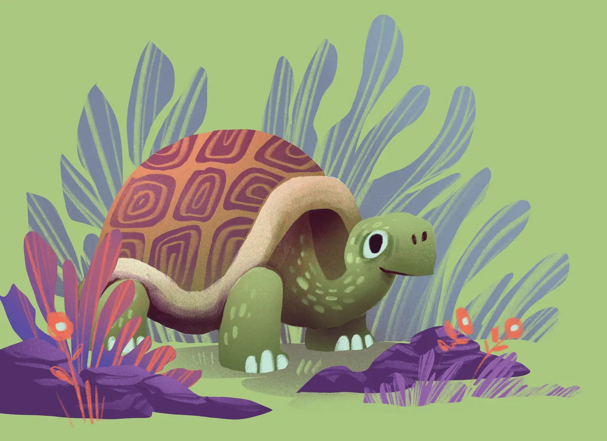 The Turtle, illustration from Night at the Zoo: Latecomers